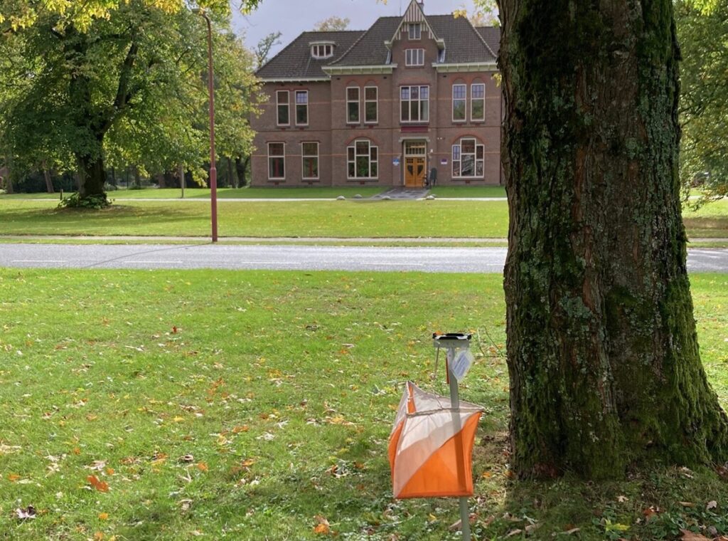 Sprintranking (36): Oktobersprints